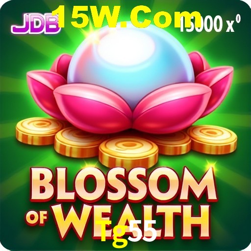 Interface do App Tg55