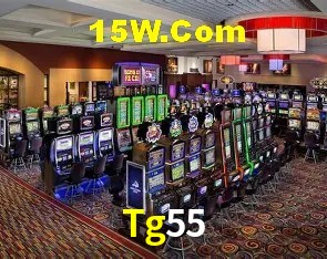 Explore as vantagens do Tg55: serviço profissional e confiabilidade