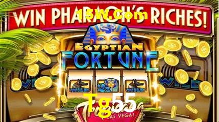 Promoção Relâmpago Tg55