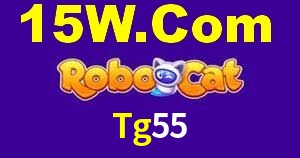 Security Systems Tg55